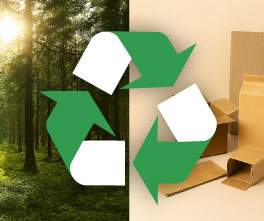 Photo : gobelet carton