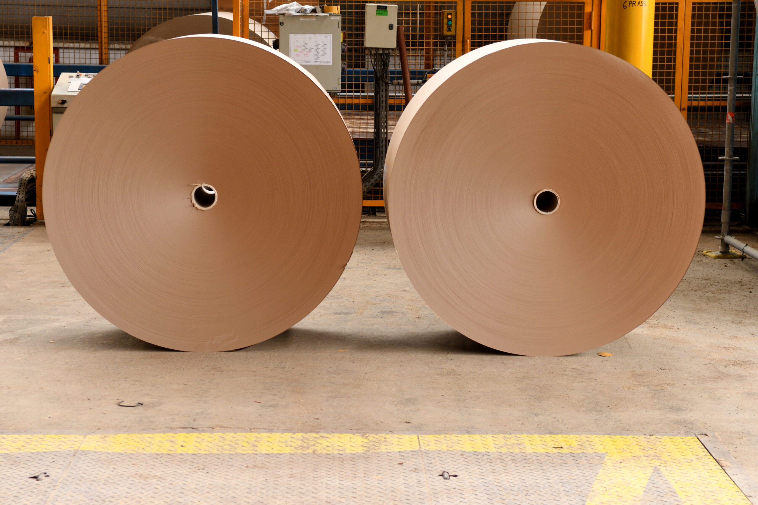 Smurfit Kappa Cellulose du pin Bobine de papier recyclage emballage carton économie circulaire