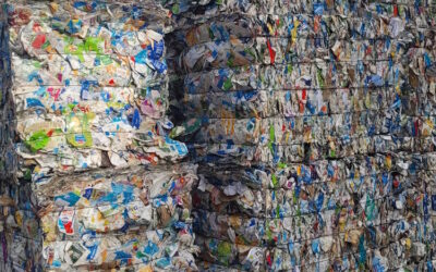 Recyclage des briques alimentaires : pari gagnant pour Essity