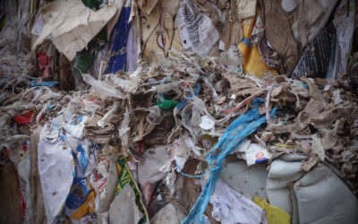 Qualité des matériaux triés : situation toujours dégradée en 2024.