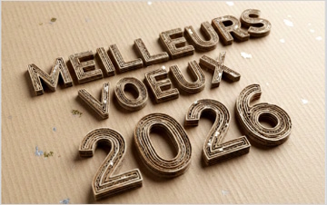 Vœux du président de Revipac, filière de reprise des emballages ménagers en papier carton