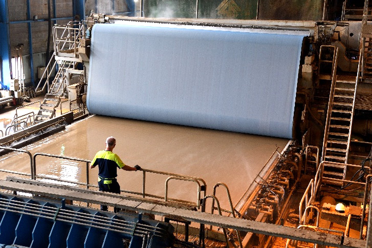 Bilan COPACEL 2025 : une production stable mais une filière sous tension